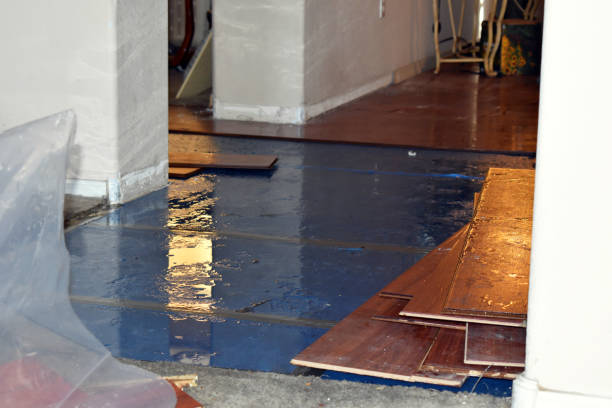 Professional Flood Cleanup technician working in Mount Desert, ME